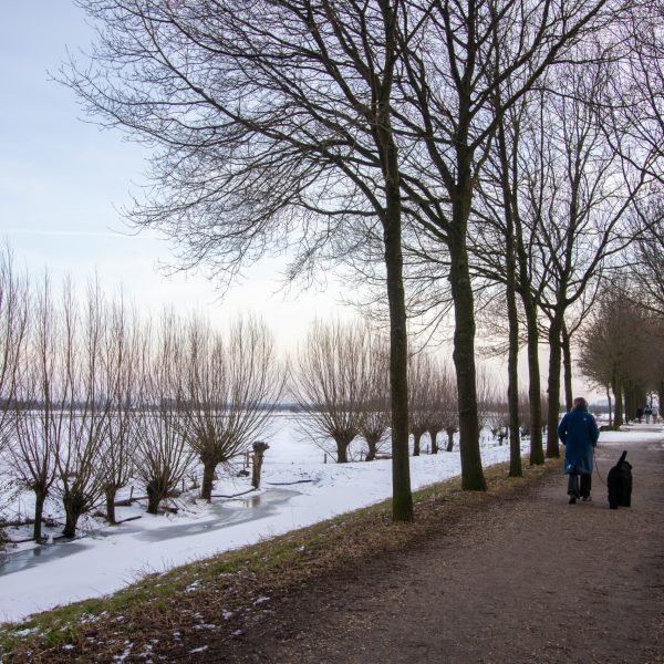 Buitenwandeling - Bed & Breakfast De Drie Kelken Amerongen